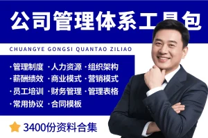 企业公司经营管理体系工具包